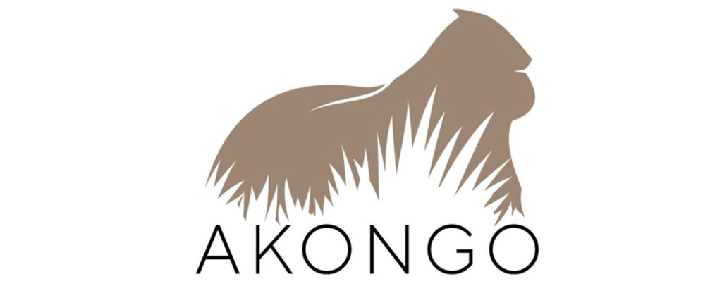 AkongoLogo