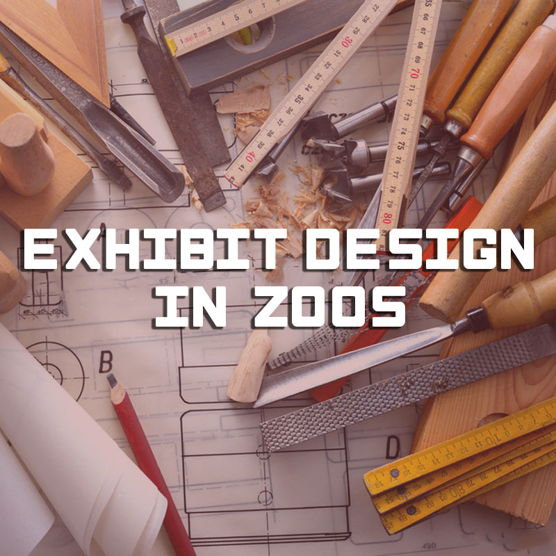 Course: « Exhibit design in zoos »