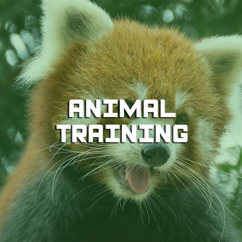 Animal training illustration