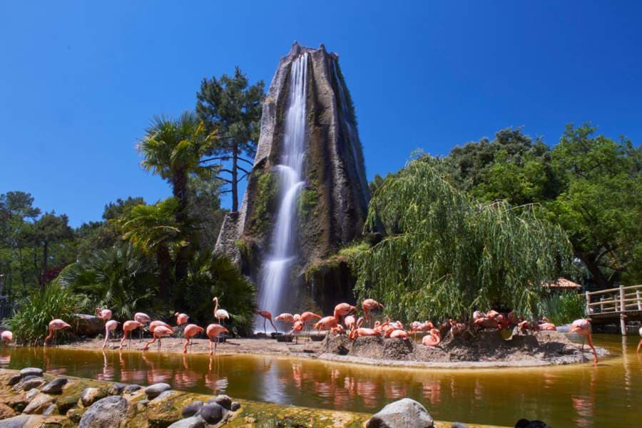 Zoo de la Palmyre