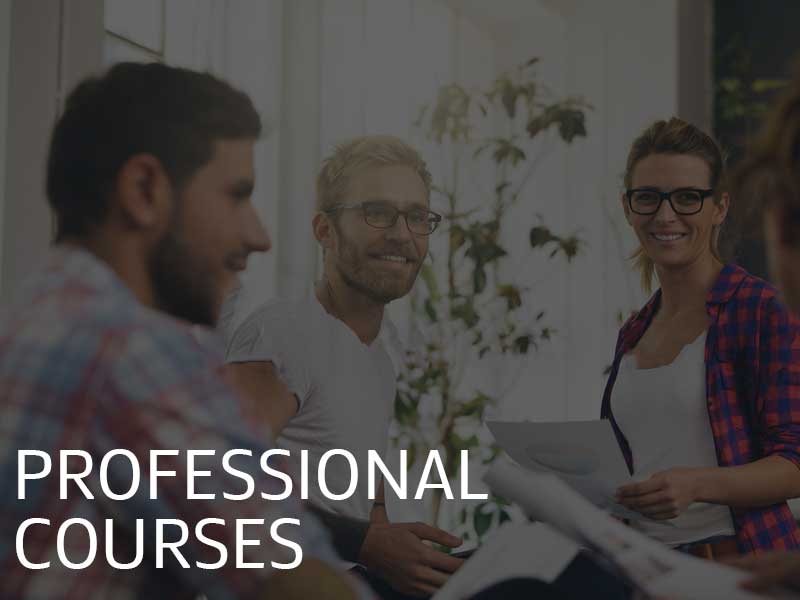 Courses for professionals illustration