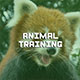 Course Animal training